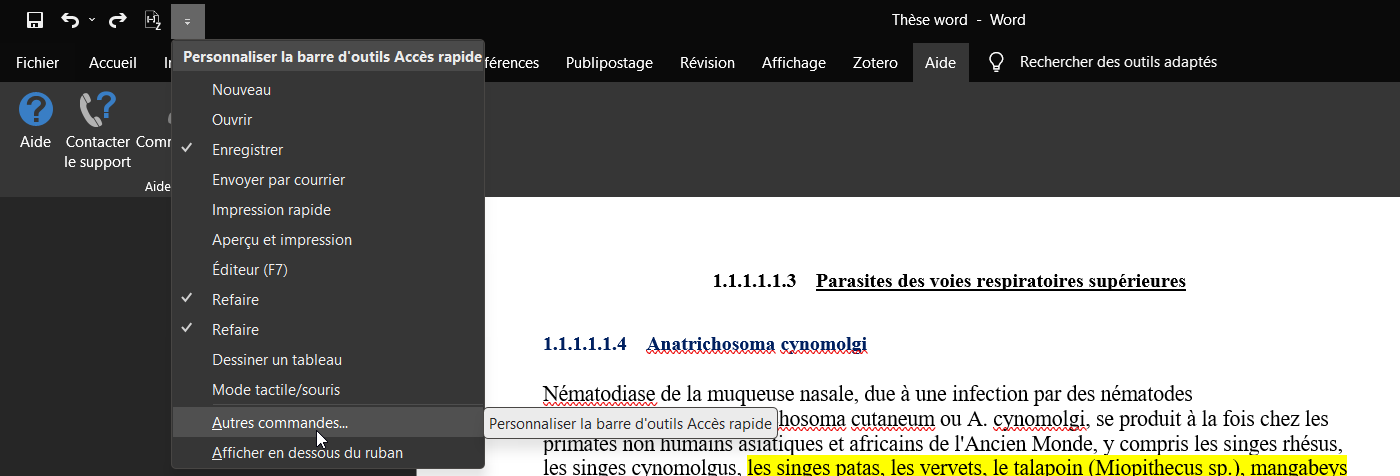 Screenshot - Mettre raccourcis zotero dans word.png