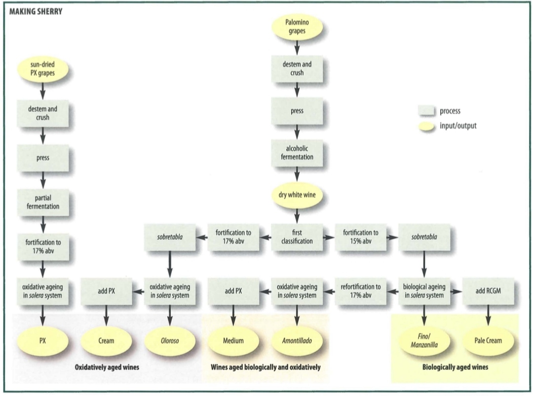 schéma - élaboration des différents styles de Sherry.jpg