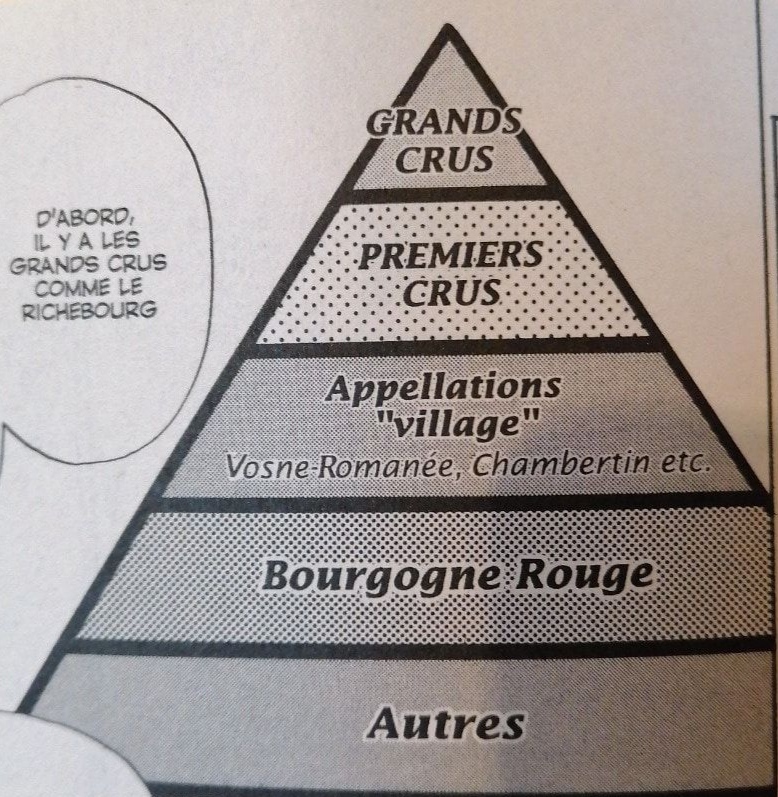 schéma - classification vin de Bourgogne.jpg